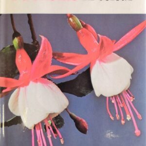 Fuchsias in Colour (Blanford Colour Series)