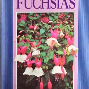 Fuchsias (Concorde Gardening)