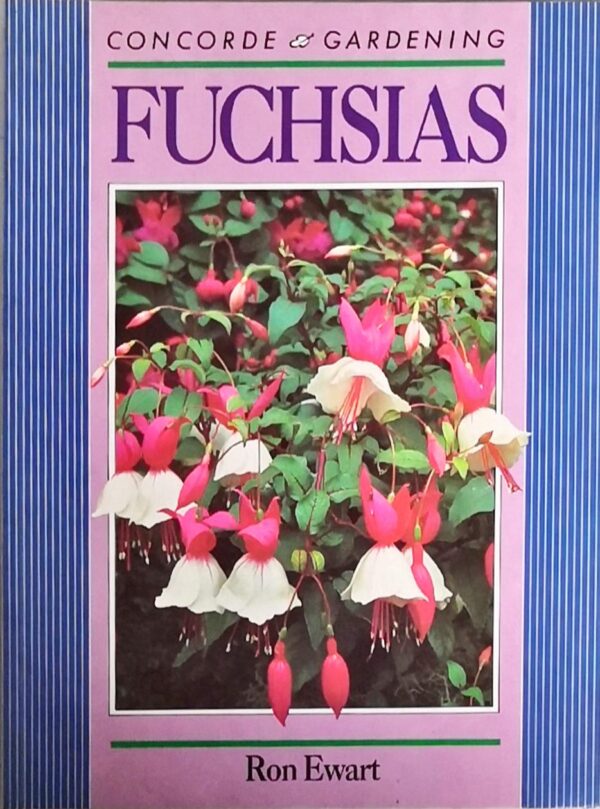 Fuchsias (Concorde Gardening)