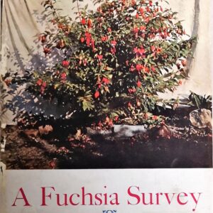 A Fuchsia Survey