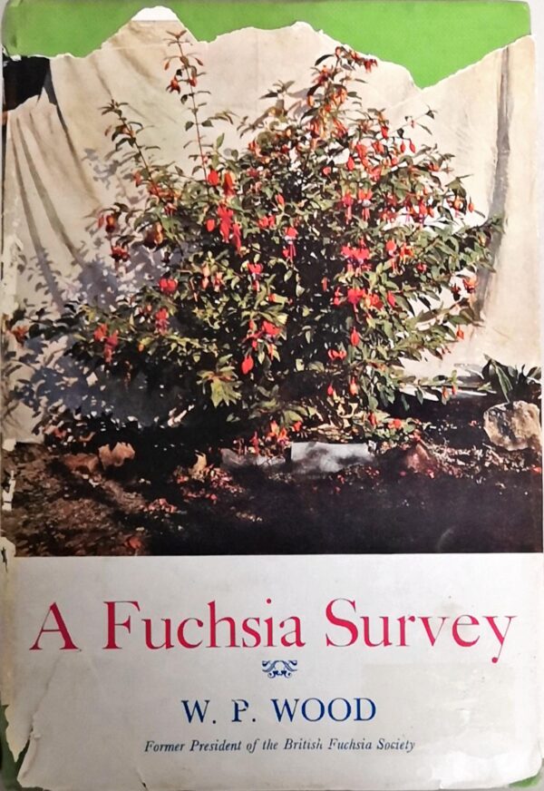 A Fuchsia Survey