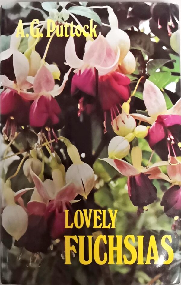 Lovely fuchsias