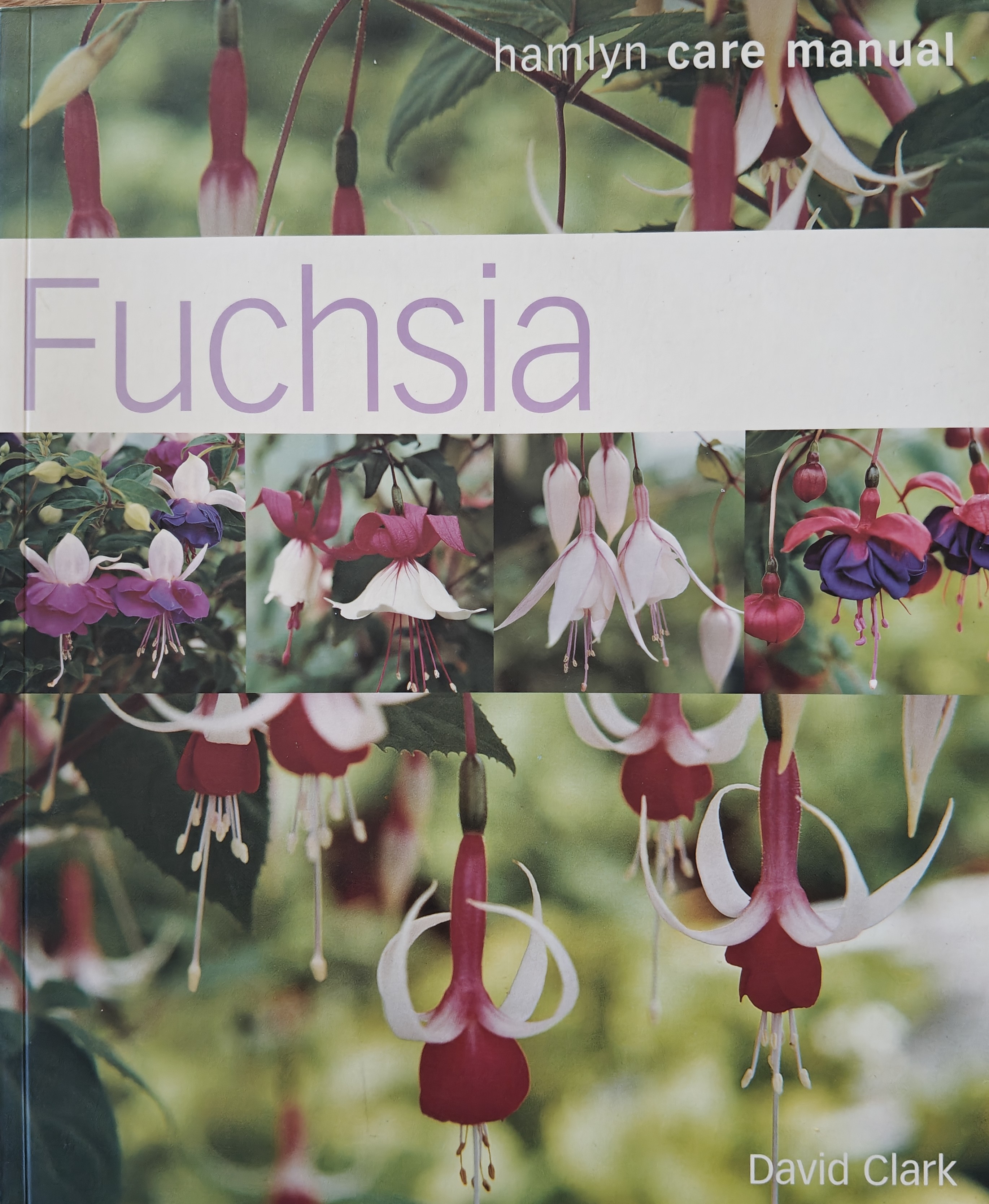 Fuchsia (A Hamlyn Care Manual)