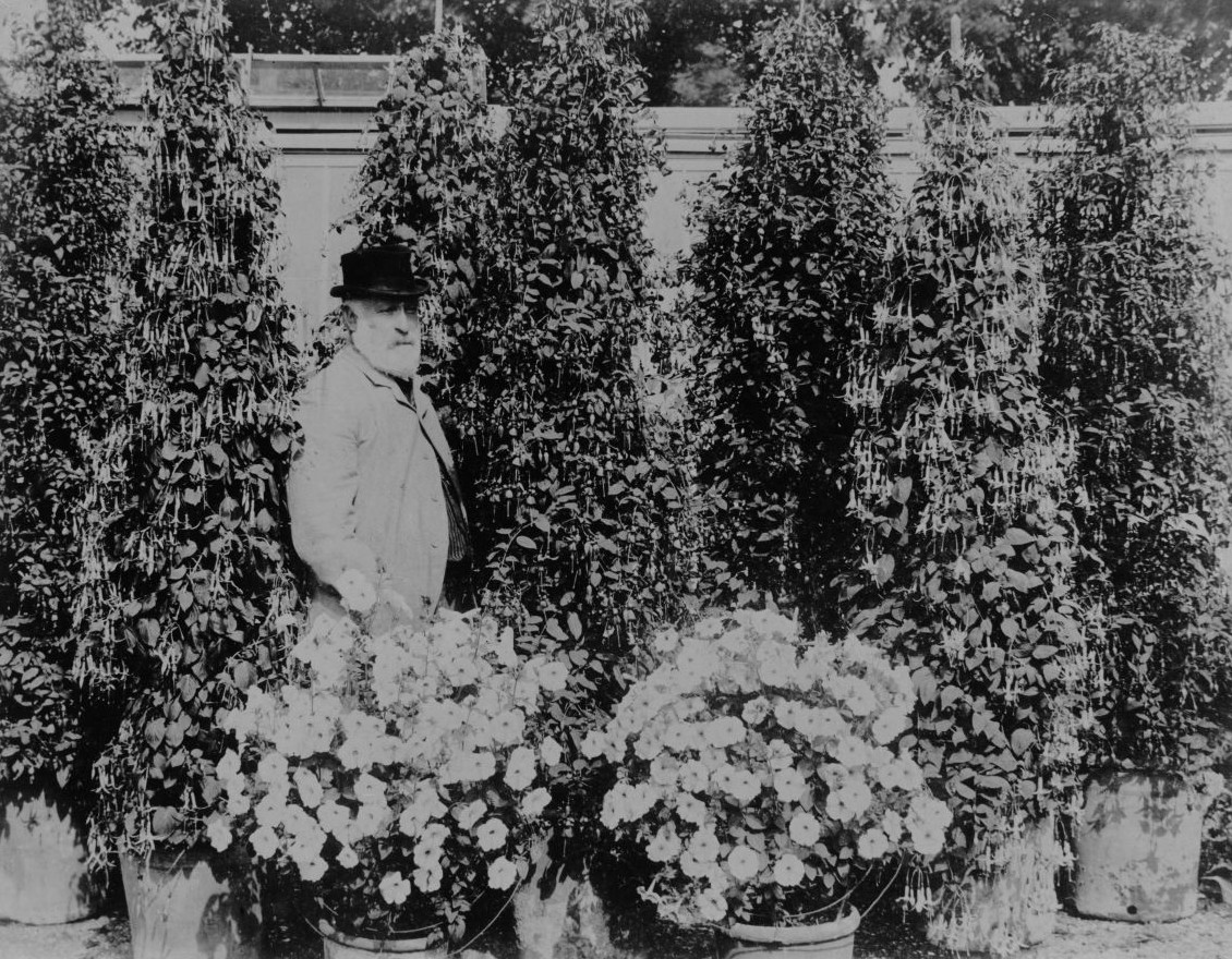 James Lye in the Walled Garden at Clyffe Hall with his Fuchsias